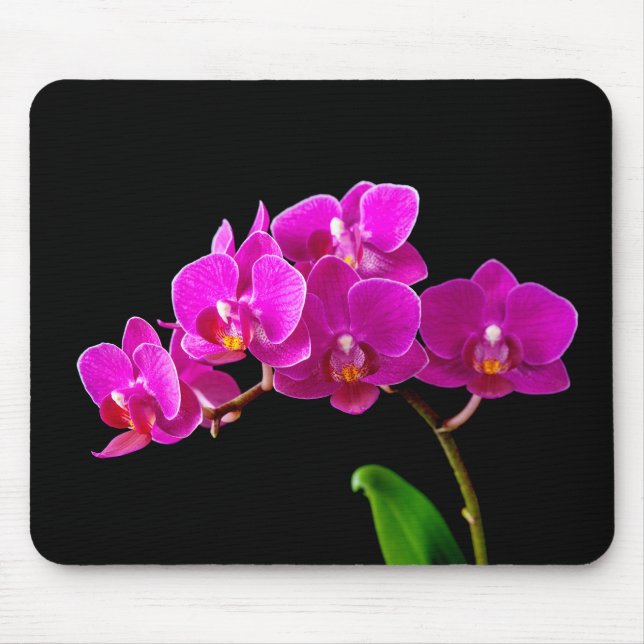 Hot Pink Dendrobium Orchid Flower Orchids Template Mouse Mat (Front)