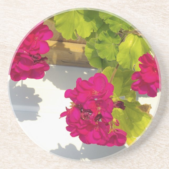 HOt pink floral flowers Pink Geranium Coaster (Front)