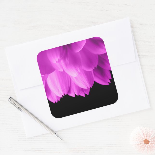 Hot pink flower petals on black square sticker (Envelope)