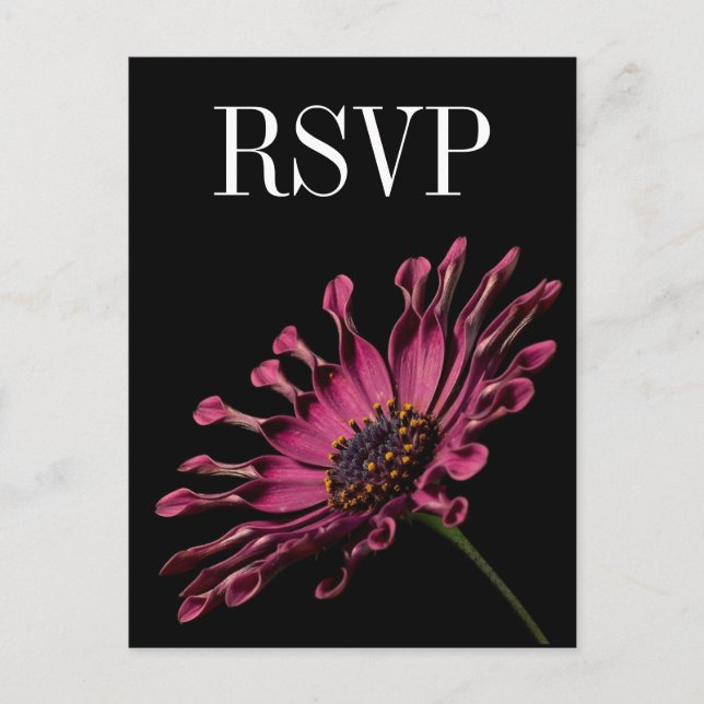 Hot Pink Fuchsia Daisy Wedding RSVP Postcard (Front)