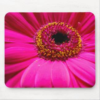 hot pink gerber daisy mouse mat