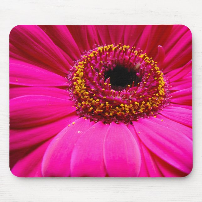 hot pink gerber daisy mouse mat (Front)