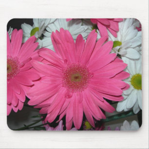 Hot Pink Gerber Daisy Mousepad