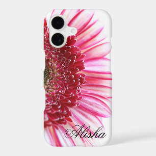 Hot pink Gerbera Daisy flower