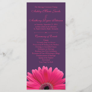 Hot Pink Gerbera Daisy Purple Wedding Program Programme