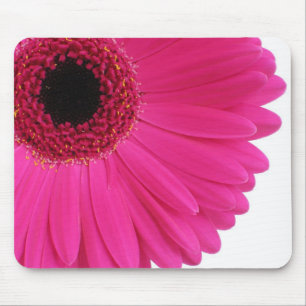 Hot Pink Gerbera Mouse Mat