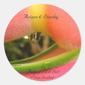 Hot Pink Heliconia Tropical Flowers Envelope Seals