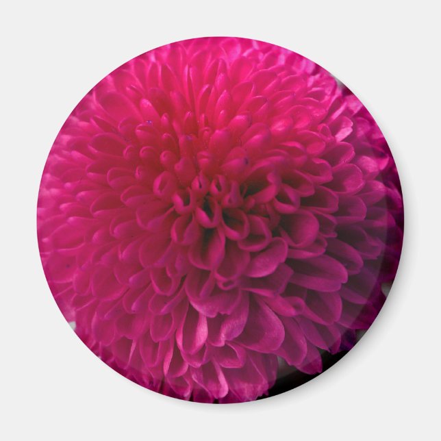 Hot pink macro flower magnet (Front)