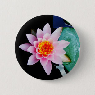 Hot Pink & orange lotus water lily flower 6 Cm Round Badge