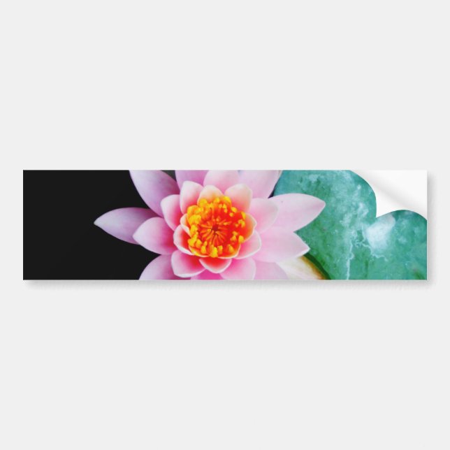 Hot Pink & orange lotus water lily flower Bumper Sticker (Front)