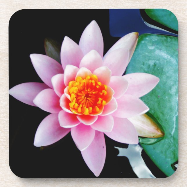 Hot Pink & orange lotus water lily flower Coaster (Front)