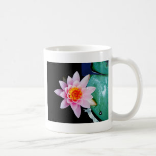 Hot Pink & orange lotus water lily flower Coffee Mug