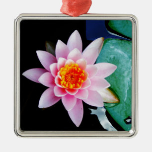 Hot Pink & orange lotus water lily flower Metal Tree Decoration