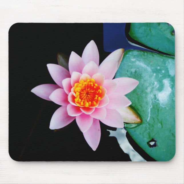 Hot Pink & orange lotus water lily flower Mouse Mat (Front)