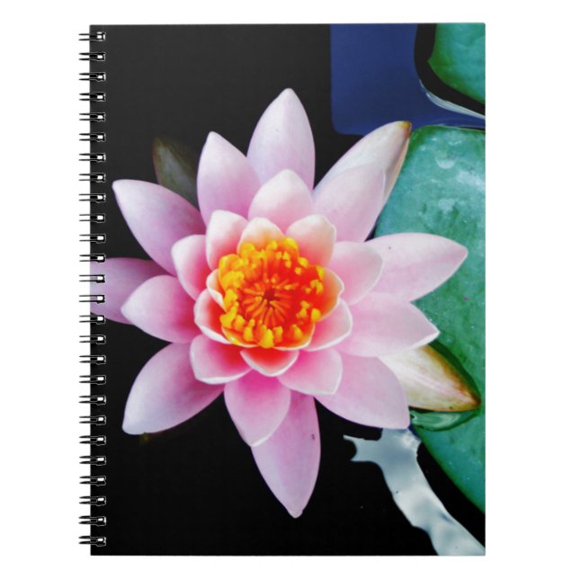 Hot Pink & orange lotus water lily flower Notebook (Front)