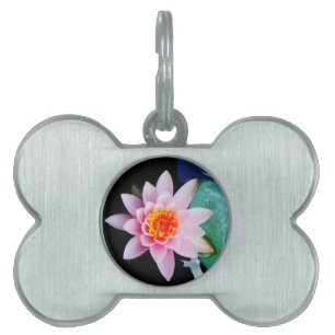 Hot Pink & orange lotus water lily flower Pet Tag