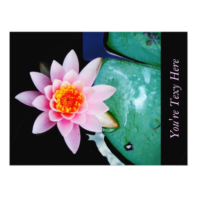 Hot Pink & orange lotus water lily flower Photo Print (Front)