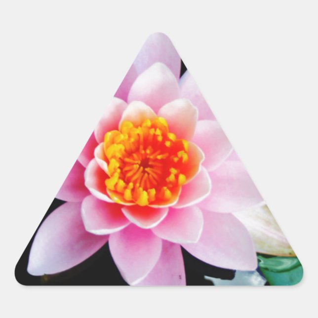 Hot Pink & orange lotus water lily flower Triangle Sticker (Front)