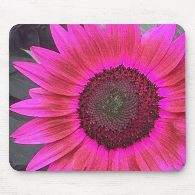 HOT Pink Raspberry Sunflower mousepad (Front)