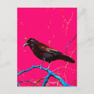 Hot Pink Raven Crow Postcard