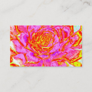 Hot Pink, Red and Yellow Succulent Sedum Rosette Business Card