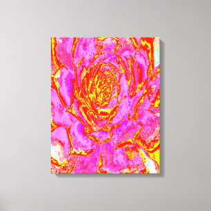 Hot Pink, Red and Yellow Succulent Sedum Rosette Canvas Print