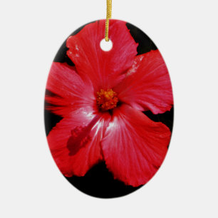 Hot Pink Red Hibiscus flower on Black Ceramic Tree Decoration