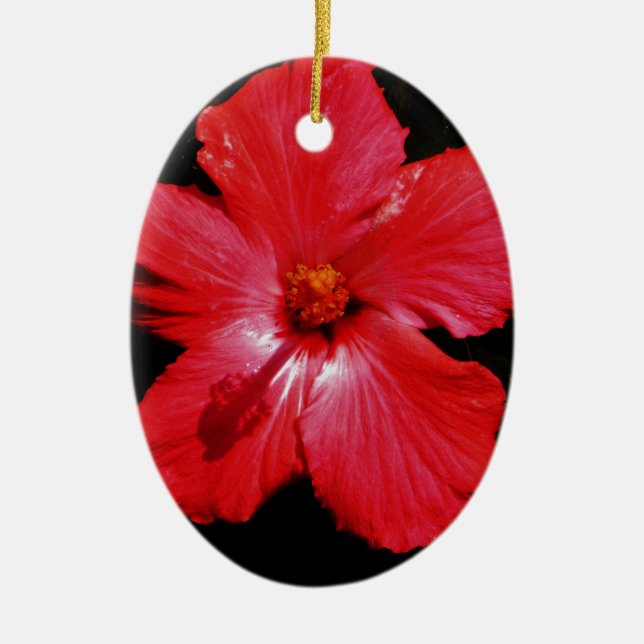 Hot Pink Red Hibiscus flower on Black Ceramic Tree Decoration (Front)