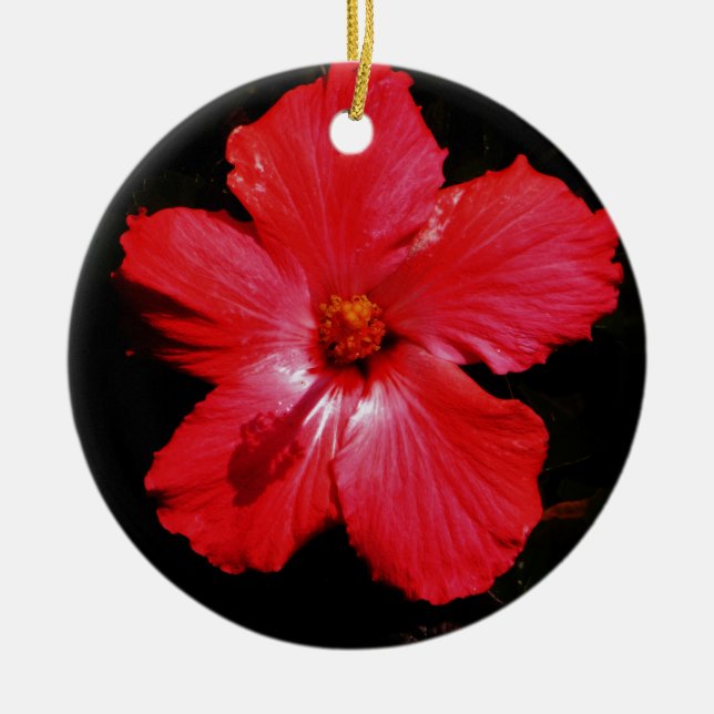 Hot Pink Red Hibiscus flower on Black Ceramic Tree Decoration (Front)