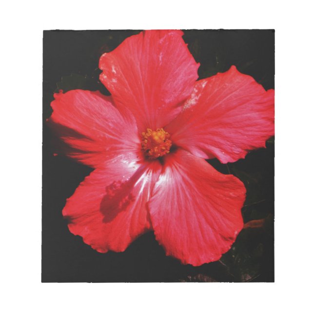 Hot Pink Red Hibiscus flower on Black Notepad (Front)