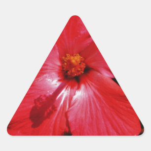 Hot Pink Red Hibiscus flower on Black Triangle Sticker