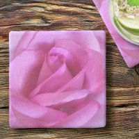 Hot pink rose flower bold simple chic photography
