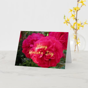 Hot Pink Roses - Personalised Mother's Day Foil Greeting Card