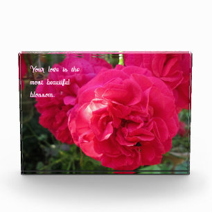 Hot Pink Roses - Personalised Mother's Day Photo Block