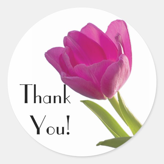 Hot Pink Tulip, Thank You! Classic Round Sticker (Front)