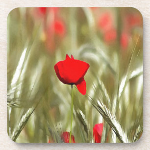 Hot Poppy Acrylic Painting Coaster