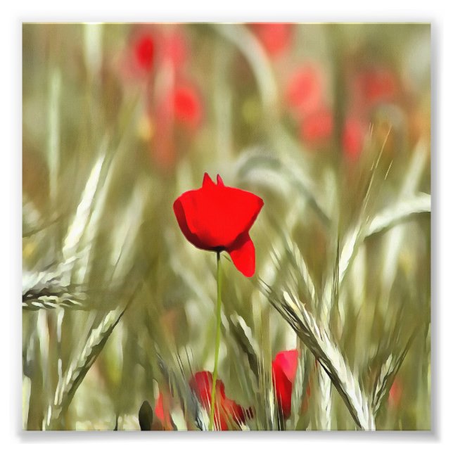 Hot Poppy Acrylic Painting Photo Print (Front)
