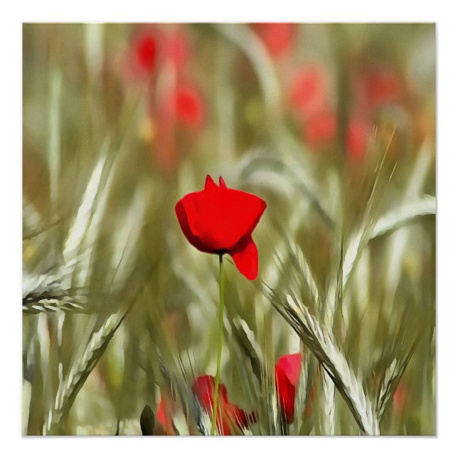 Hot Poppy Acrylic Painting Poster (Front)