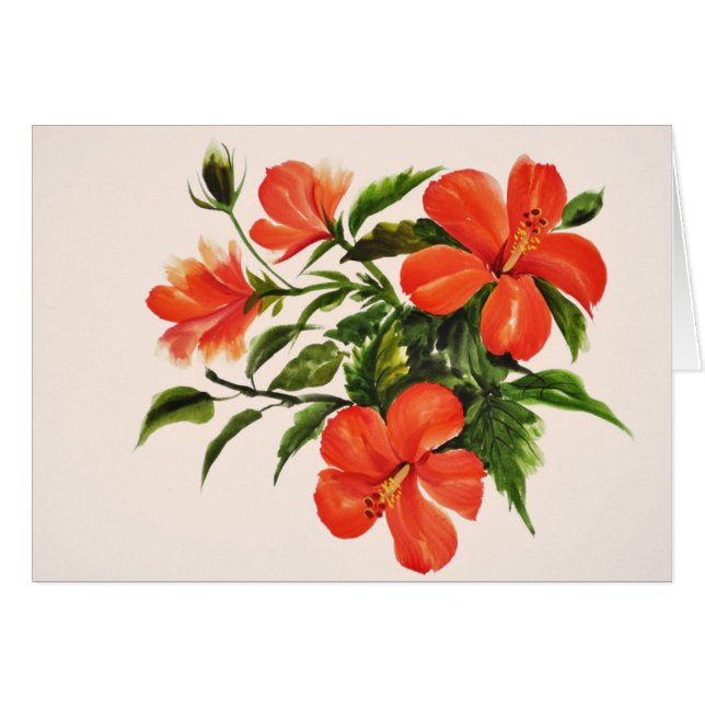 Hot Red Hibiscus (Front Horizontal)