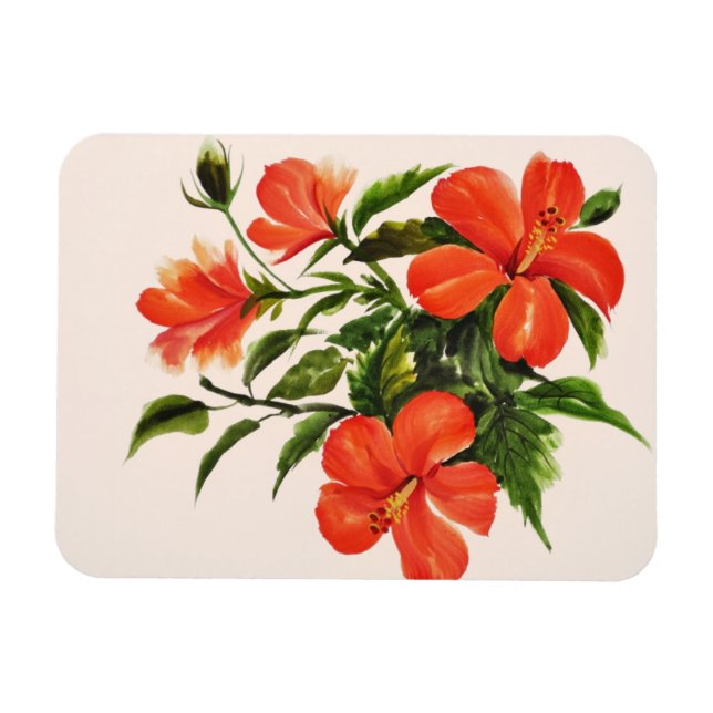 Hot Red Hibiscus Magnet (Horizontal)