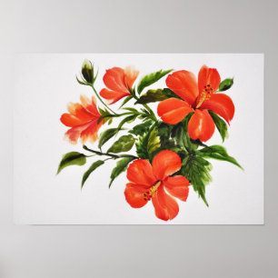 Hot Red Hibiscus Poster
