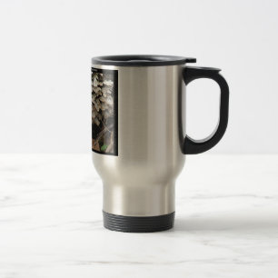 Hot Spings National Park, Arkansas Tree Fungus Travel Mug