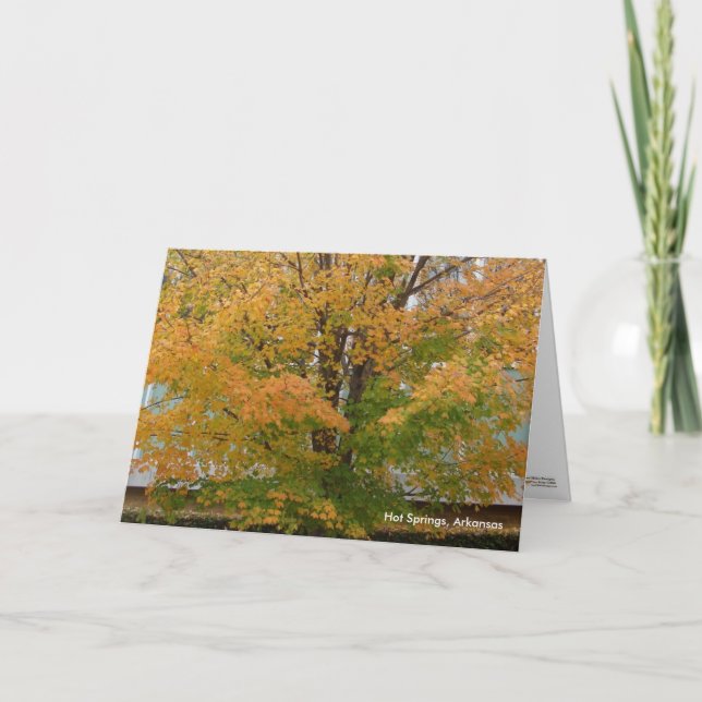 Hot Springs, AR Autumn Leaves Greeting Card (Front)
