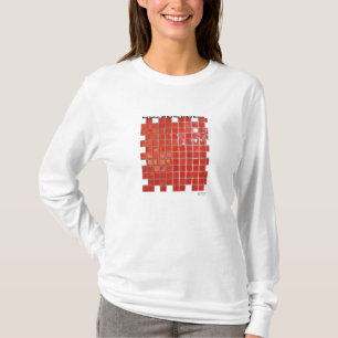 Hot Springs, AR Red Tiles Central Ave Gifts T-Shirt