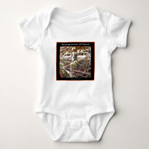 Hot Springs Mountain, Arkansas Chipmunk Gifts Baby Bodysuit