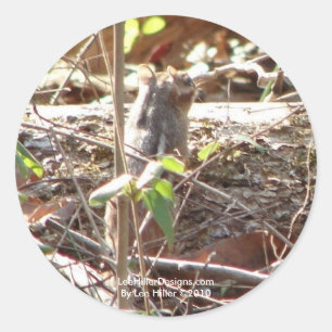 Hot Springs Mountain, Arkansas Chipmunk Gifts Classic Round Sticker