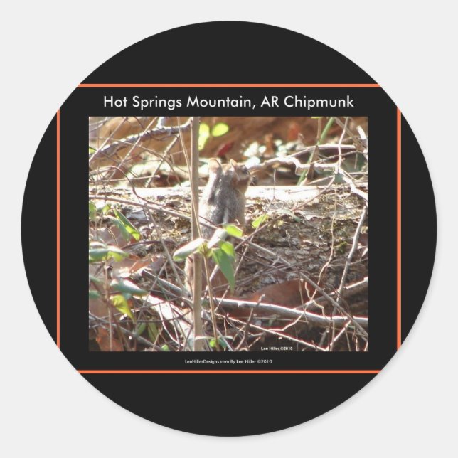 Hot Springs Mountain, Arkansas Chipmunk Gifts Classic Round Sticker (Front)