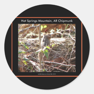 Hot Springs Mountain, Arkansas Chipmunk Gifts Classic Round Sticker