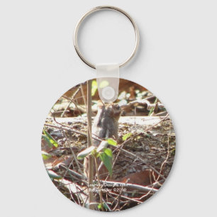 Hot Springs Mountain, Arkansas Chipmunk Gifts Key Ring