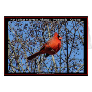 Hot Springs Mountain Promenade  Cardinal Gifts